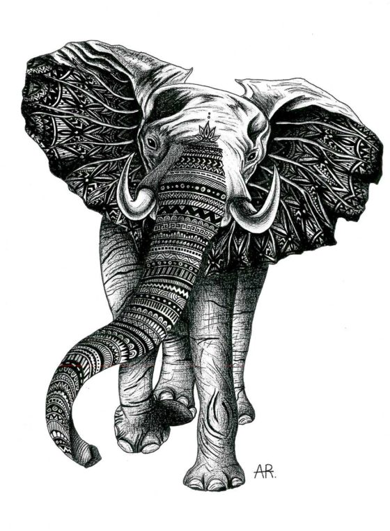 Elephant